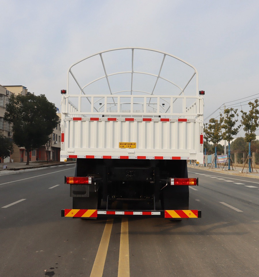 HLW5250TSMSX6型沙漠车