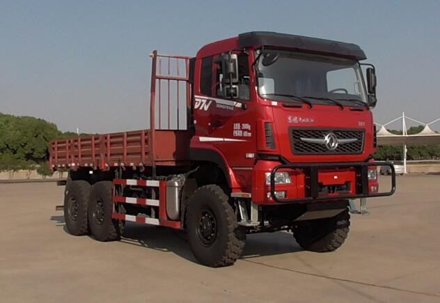 DFV5253TSMGP6D型沙漠车