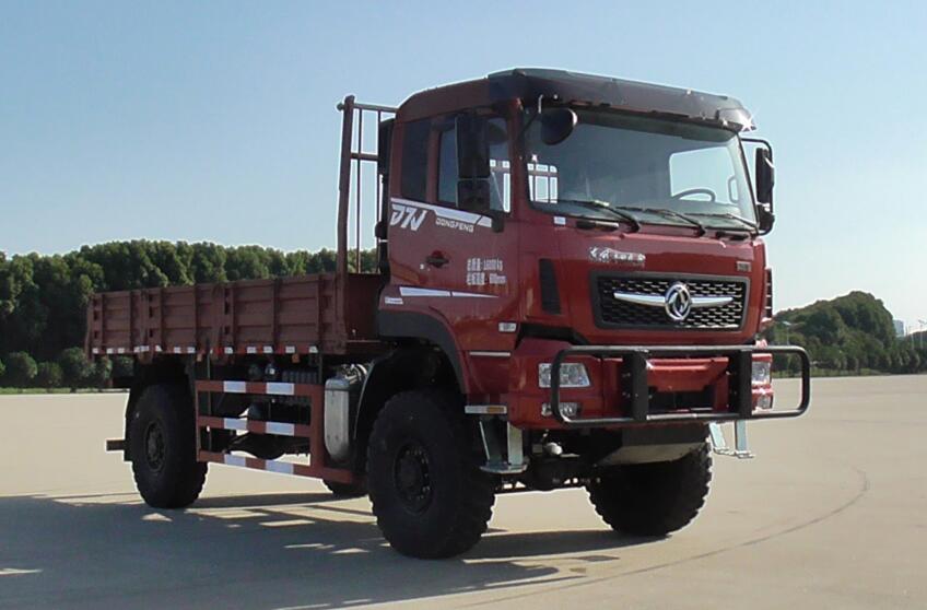 DFV5163TSMGP6D型沙漠车